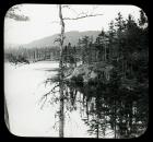 View over Pond
